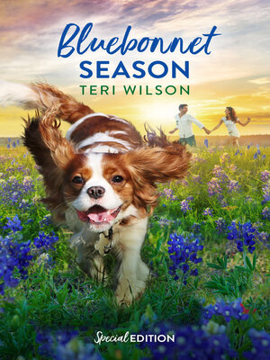cover image of Bluebonnet Season